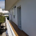 Colomba * Torre del Greco