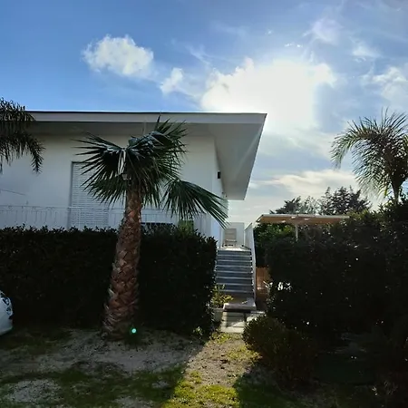 Colomba Torre del Greco